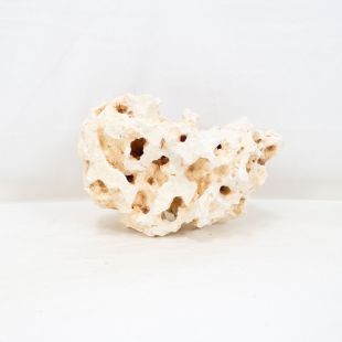 Comprar online piedra blanca rocalla para cíclidos africanos acuarios agua dulce.