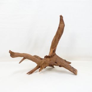 Comprar online madera cuerno mediana y alargada para acuario en tienda online Pzes Alcorcón