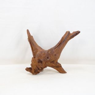 Comprar online madera cuerno mediana y alargada para acuario en tienda online Pzes Alcorcón