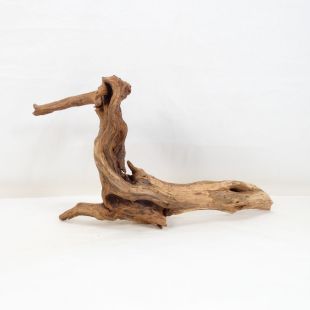 Comprar online madera cuerno mediana y alargada para acuario en tienda online Pzes Alcorcón