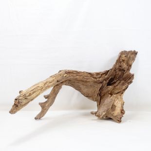 Comprar online madera cuerno mediana y alargada para acuario en tienda online Pzes Alcorcón