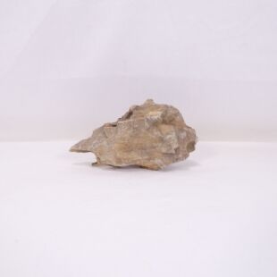 Roca dragón pequeña-mediana con agujeros decoración natural acuarios en tienda.pzes.es