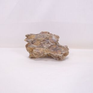 Roca dragón pequeña-mediana con agujeros decoración natural acuarios en tienda.pzes.es