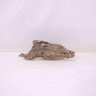 Roca dragón pequeña-mediana con agujeros decoración natural acuarios en tienda.pzes.es