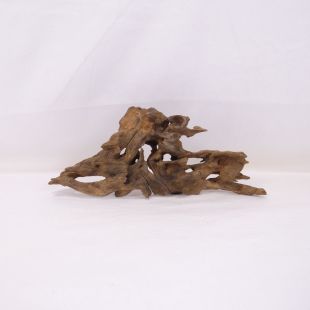 Madera Dragón para decorar acuarios en tienda.pzes.es: el mejor hardscape online para urnas y acuarios. Peces sanos, profesionalidad garantizada.