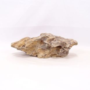 Roca dragón mediana redondeada con agujeros decoración natural acuarios en tienda Pzes Alcorcón.