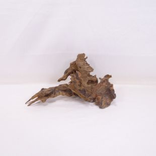 Madera Dragón para decorar acuarios en tienda.pzes.es: el mejor hardscape online para urnas y acuarios. Peces sanos, profesionalidad garantizada.