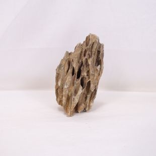 Roca dragón pequeña-mediana con agujeros decoración natural acuarios en tienda.pzes.es