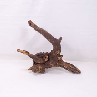 Comprar online madera cuerno pequeña para acuario en tienda online tienda.pzes.es