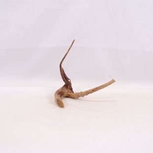 Comprar online raíz Slim pequeña con varias ramitas para acuarios en tienda Pzes Alcorcón.