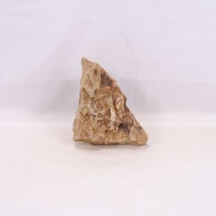 Roca dragón mediana redondeada con agujeros decoración natural acuarios en tienda Pzes Alcorcón.