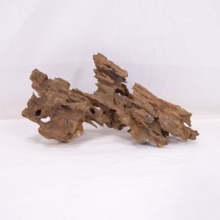 Madera Dragón para decorar acuarios en tienda.pzes.es: el mejor hardscape online para urnas y acuarios. Peces sanos, profesionalidad garantizada.