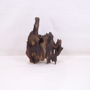 Madera Dragón para decorar acuarios en tienda.pzes.es: el mejor hardscape online para urnas y acuarios. Peces sanos, profesionalidad garantizada.