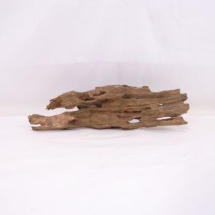 Madera Dragón para decorar acuarios en tienda.pzes.es: el mejor hardscape online para urnas y acuarios. Peces sanos, profesionalidad garantizada.