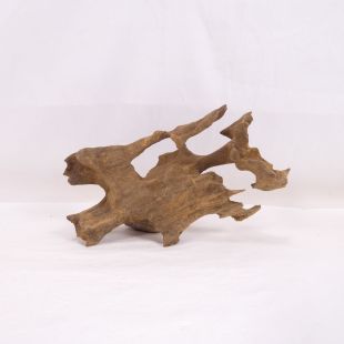 Madera Dragón para decorar acuarios en tienda.pzes.es: el mejor hardscape online para urnas y acuarios. Peces sanos, profesionalidad garantizada.