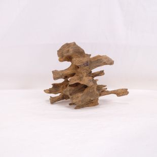 Madera Dragón para decorar acuarios en tienda.pzes.es: el mejor hardscape online para urnas y acuarios. Peces sanos, profesionalidad garantizada.