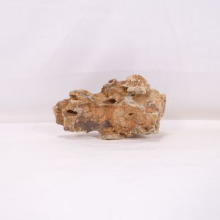 Roca dragón pequeña-mediana con agujeros decoración natural acuarios en tienda.pzes.es