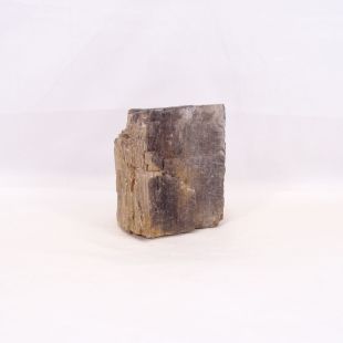 Comprar rocas madera fósil-petrificada para acuario en tienda online especializada peces, acuarios, hardscape, aquascaping-