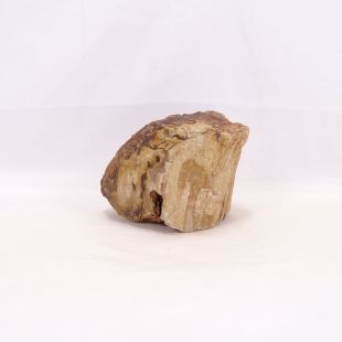 Comprar rocas madera fósil-petrificada para acuario en tienda online especializada peces, acuarios, hardscape, aquascaping-