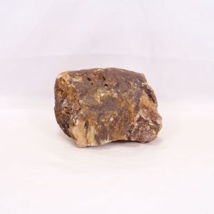 Comprar rocas madera fósil-petrificada para acuario en tienda online especializada peces, acuarios, hardscape, aquascaping-