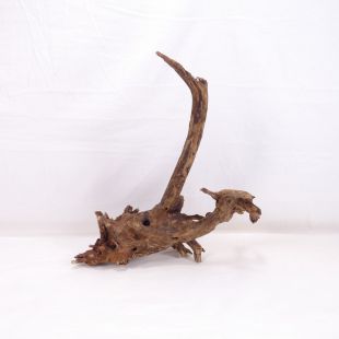Comprar online madera cuerno pequeña e irregular para acuario en tienda online Pzes Alcorcón
