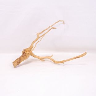 Comprar online raíz Roja tamaño mediano con varias ramificaciones para acuario en tienda Pzes Alcorcón, tienda.pzes.es