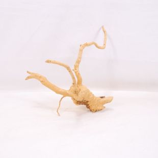 Comprar online raíz Roja tamaño mediano con varias ramificaciones para acuario en tienda Pzes Alcorcón, tienda.pzes.es