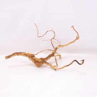 Comprar online raíz Roja tamaño mediano con varias ramificaciones para acuario en tienda Pzes Alcorcón, tienda.pzes.es