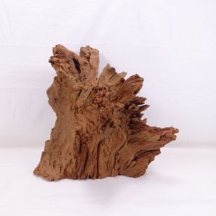 Comprar online madera mangrove grande para decorar acuarios en tienda online de peces y acuarios especializada: Pzes Alcorcón.