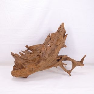 Comprar online madera mangrove grande para decorar acuarios en tienda online de peces y acuarios especializada: Pzes Alcorcón.