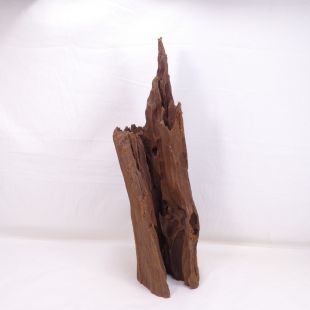 Comprar online madera mangrove grande para decorar acuarios en tienda online de peces y acuarios especializada: Pzes Alcorcón.
