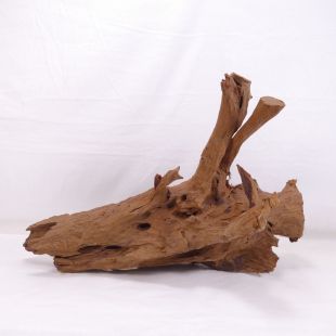 Comprar online madera mangrove grande para decorar acuarios en tienda online de peces y acuarios especializada: Pzes Alcorcón.