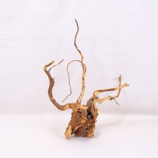 Comprar online raíz Roja tamaño mediano con varias ramificaciones para acuario en tienda Pzes Alcorcón, tienda.pzes.es