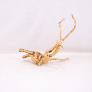 Comprar online raíz Roja tamaño mediano con varias ramificaciones para acuario en tienda Pzes Alcorcón, tienda.pzes.es