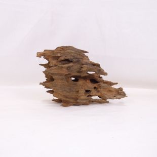 Madera Dragón para decorar acuarios en tienda.pzes.es: el mejor hardscape online para urnas y acuarios. Peces sanos, profesionalidad garantizada.