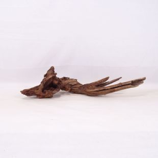 Comprar online madera cuerno mediana y alargada para acuario en tienda online Pzes Alcorcón