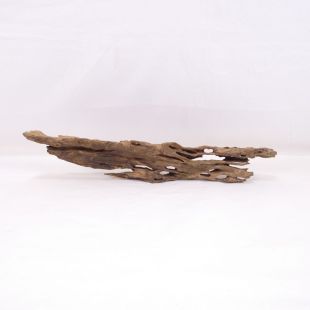 Madera Dragón para decorar acuarios en tienda.pzes.es: el mejor hardscape online para urnas y acuarios. Peces sanos, profesionalidad garantizada.