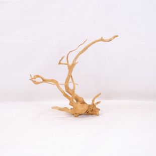 Comprar online raíz Roja tamaño mediano con varias ramificaciones para acuario en tienda Pzes Alcorcón, tienda.pzes.es