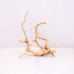 Comprar online raíz Roja tamaño mediano con varias ramificaciones para acuario en tienda Pzes Alcorcón, tienda.pzes.es