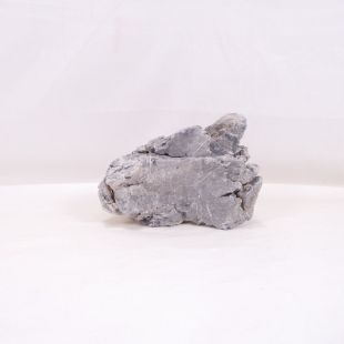 Roca Amano (Seiryu/Ryouh) para decorar acuarios en tienda online pzes Alcorcón: el mejor hardscape con envíos seguros y animales sanos.