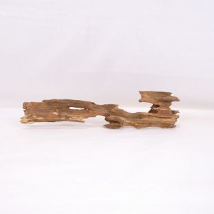 Madera Dragón para decorar acuarios en tienda.pzes.es: el mejor hardscape online para urnas y acuarios. Peces sanos, profesionalidad garantizada.