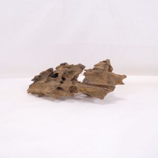 Madera Dragón para decorar acuarios en tienda.pzes.es: el mejor hardscape online para urnas y acuarios. Peces sanos, profesionalidad garantizada.