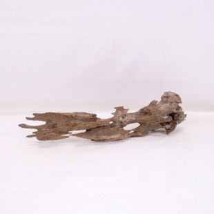 Madera Dragón para decorar acuarios en tienda.pzes.es: el mejor hardscape online para urnas y acuarios. Peces sanos, profesionalidad garantizada.