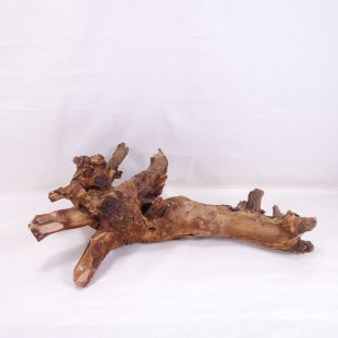 Comprar online madera cuerno pequeña e irregular para acuario en tienda online Pzes Alcorcón