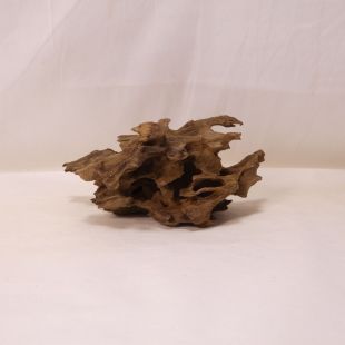 Madera Dragón para decorar acuarios en tienda.pzes.es: el mejor hardscape online para urnas y acuarios. Peces sanos, profesionalidad garantizada.