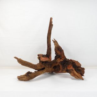 Comprar online madera cuerno pequeña e irregular para acuario en tienda online Pzes Alcorcón