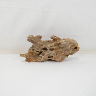 Roca dragón pequeña-mediana con agujeros decoración natural acuarios en tienda.pzes.es
