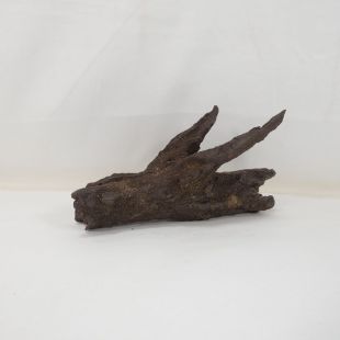 Cueva individual de artesanía aspecto de tronco para loricáridos exclusivos en tienda.pzes.es