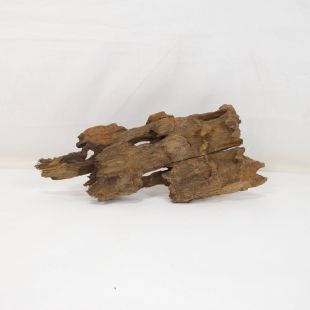 Madera Dragón para decorar acuarios en tienda.pzes.es: el mejor hardscape online para urnas y acuarios. Peces sanos, profesionalidad garantizada.