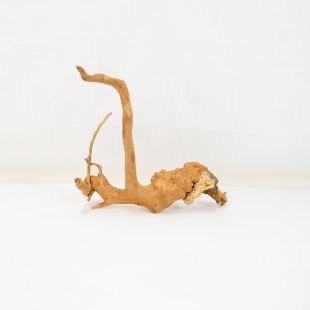 Comprar online raíz Roja tamaño mediano con varias ramificaciones para acuario en tienda Pzes Alcorcón, tienda.pzes.es